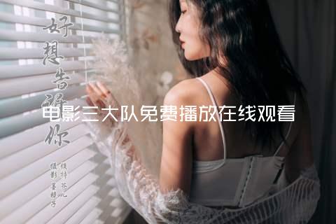 电影三大队免费播放在线观看