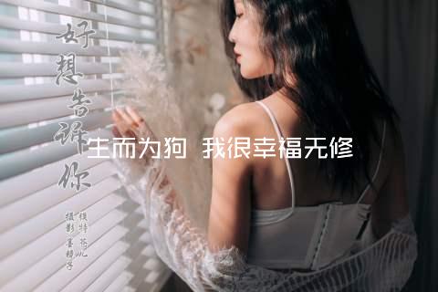 生而为狗 我很幸福无修