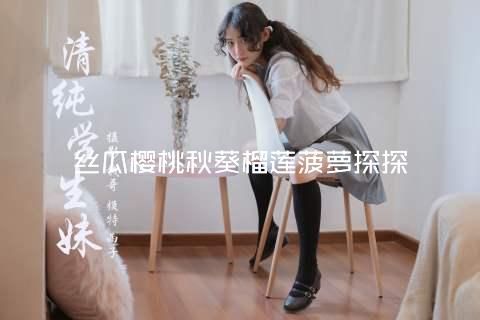 丝瓜樱桃秋葵榴莲菠萝探探