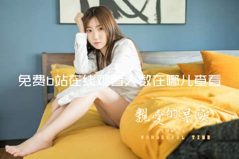 免费b站在线观看人数在哪儿查看