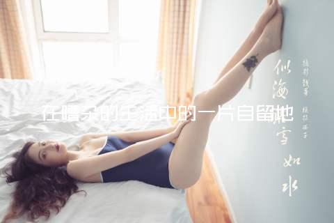 在嘈杂的生活中的一片自留地