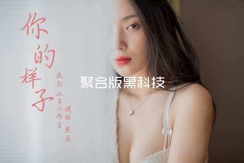聚合版黑科技