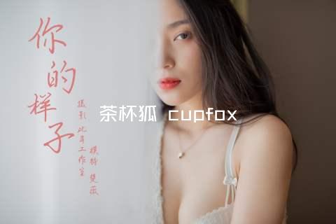 茶杯狐 cupfox