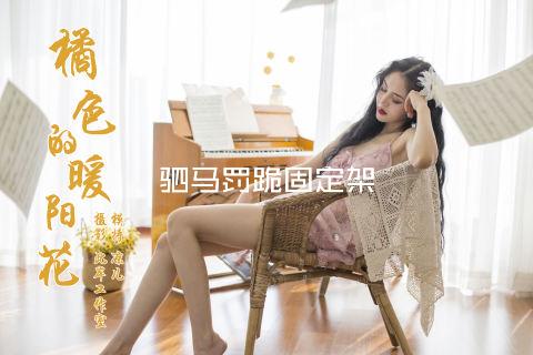 驷马罚跪固定架