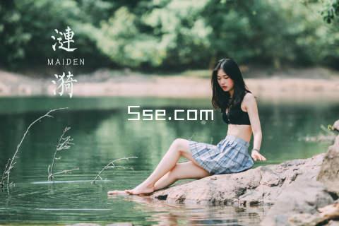 5se.com