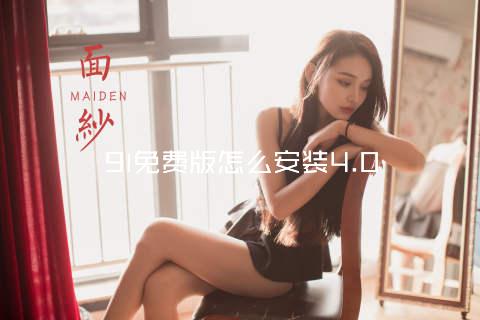 9l免费版怎么安装4.0