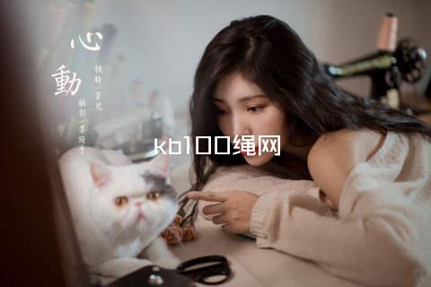 kb100绳网