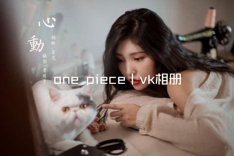 one piece丨vk相册