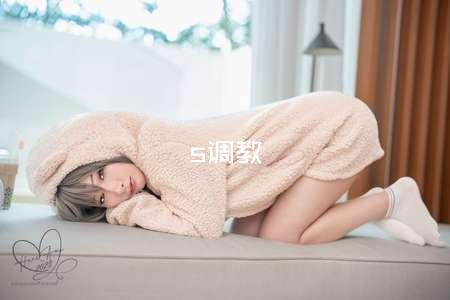 s调教