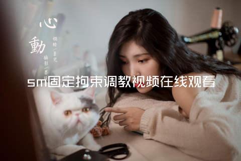 sm固定拘束调教视频在线观看