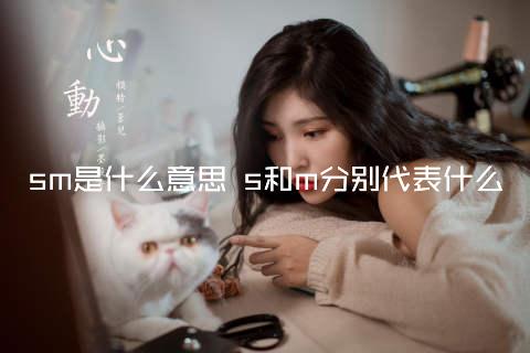 sm是什么意思 s和m分别代表什么