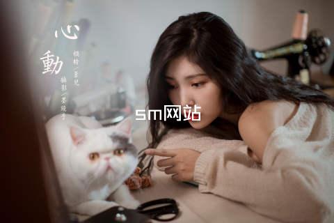 sm网站