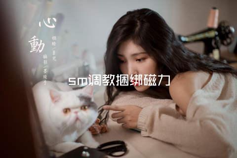 sm调教捆绑磁力