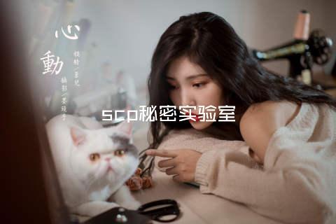 scp秘密实验室