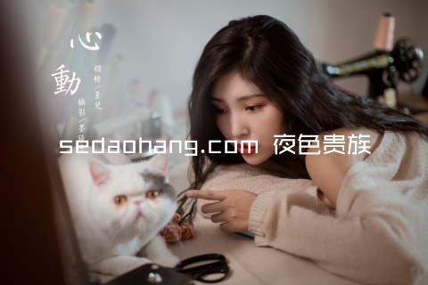 sedaohang.com 夜色贵族